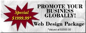 Web Design Package (15279 bytes)